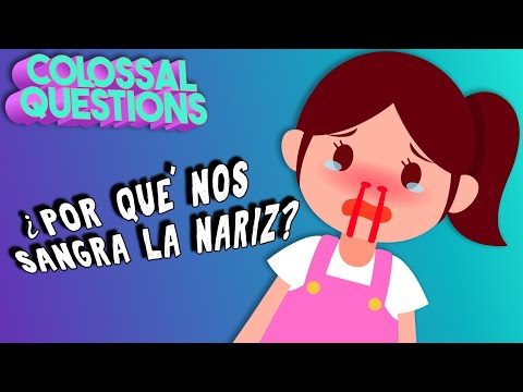 ¿Por qué te sangra la nariz? | PREGUNTAS COLOSALES