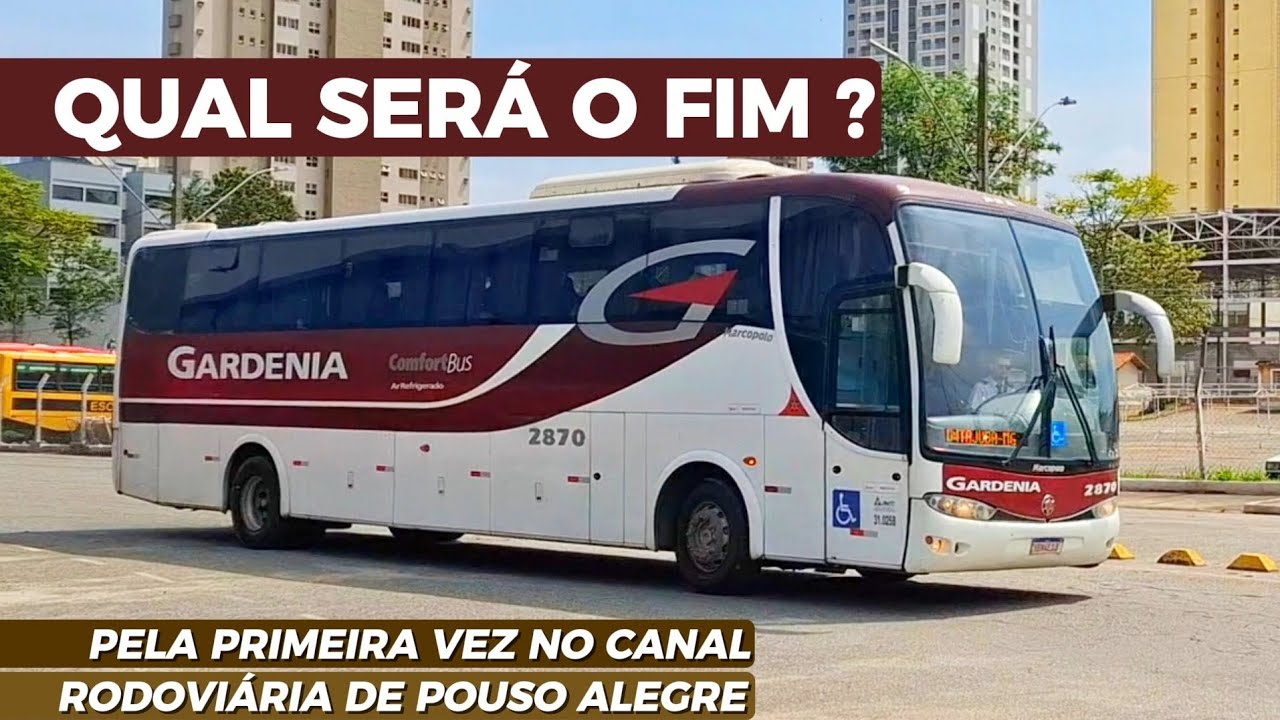 Terminal Rodoviário de Pouso Alegre - MG | Movimentação de Ônibus