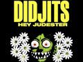 Didjits - Axhandle