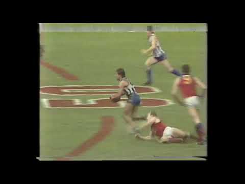 Great goals of the 1986 VFL Season