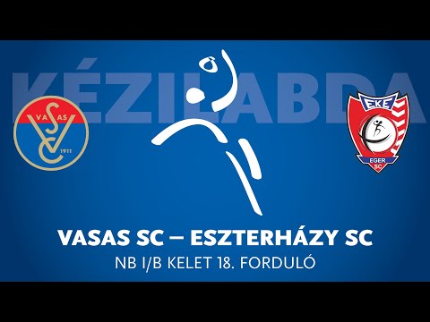 Vasas SC-Esterházy SC, női NB1/B - 23. forduló