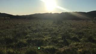 Lourdes de Itihue, muestra y respeto a perdiz