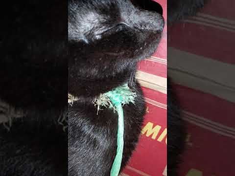 panourin hanggang dulo...... 😂