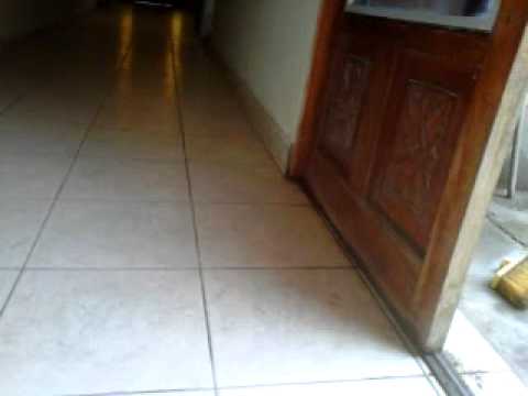 la monita en sus lecciones