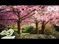Beautiful Relaxing Music • Romantic Japanese Music for Relaxation