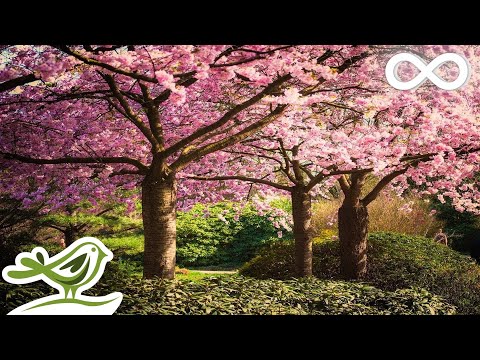 Beautiful Relaxing Music • Romantic Japanese Music for Relaxation