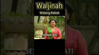 Download lagu Waljinah Walang Kekek mp3