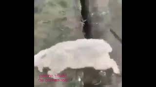 המשודך המתוסבך - מפחד להתחתן (המשודך המתוסבך) - התמונה מוצגת ישירות מתוך אתר האינטרנט יוטיוב. זכויות היוצרים בתמונה שייכות ליוצרה. קישור קרדיט למקור התוכן נמצא בתוך דף הסרטון