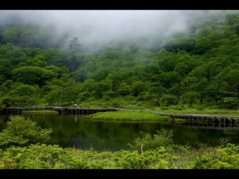 【AKAGIFT】赤城山できゅんっ。覚満淵(かくまんぶち)