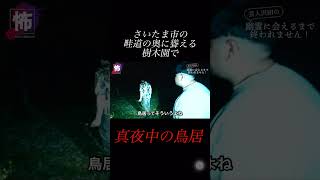 【⬇️本編はコチラ⬇️】付近を散策したら新たな心霊スポットが【薬師堂のマキ】