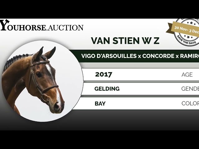 van Stien showvideo