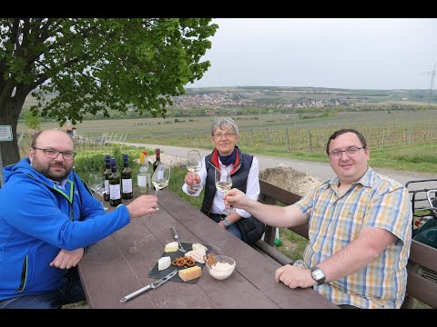 Käse und Wein - ein Traumpaar?