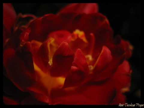 El Vuelo - Hughes de Courson - [The song from AirCanada Commercial]