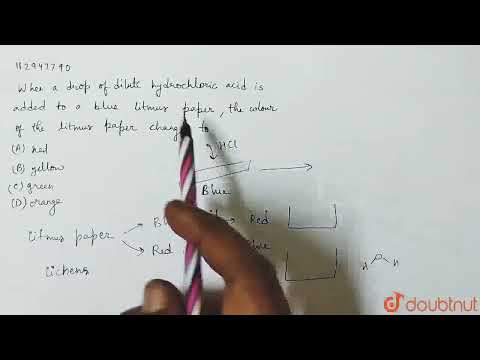 Aggiungendo una goccia di acido cloridrico diluito a una cartina di tornasole blu, il colore dell...