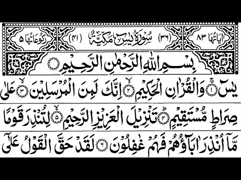 Surah Yaseen  Abu bakr ash Shatri