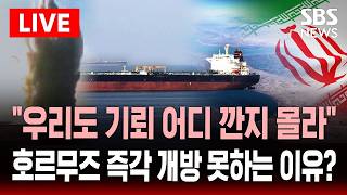 ????LIVE 우리 안 도와줬잖아! 나토 수장 모욕한 트럼프 '호르무즈 기뢰 제거' 요구한 듯..푸틴보다 더하네 비난 | SBS 실시간 라이브