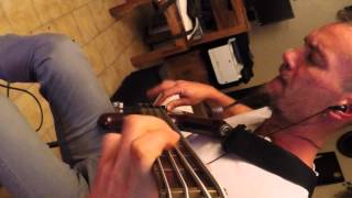 Maximum the hormone &quot;Rokkinpo Goroshi&quot; bass cover