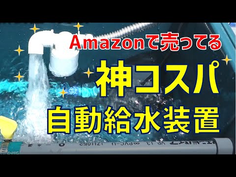 , title : '【1000円】Amazonの神コスパ自動給水装置がすごい'