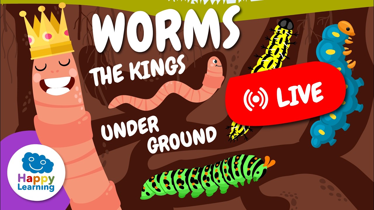 LIVE: 🪱 ANNELIDS | Do Earthworms Have a Brain? | Educational Videos for Children | @HappyLearningEN