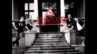 Wildwechsel - Lied über Musik