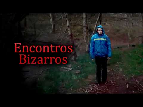 Os Piores Encontros em Florestas [Vol.2]