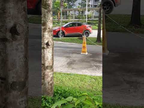 Thumbnail for Toyota C-HR red body black roof on road #toyota by Toyota, Toyota C-HR+