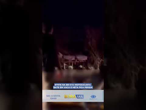 M*RTE NA BR-010: MOTOCICLISTA BATE EM VACA E NETA FICA FERIDA