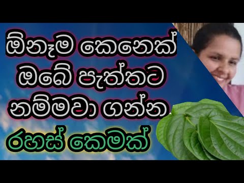 ඕනෑම කෙනෙක් ඔබේ පැතත්තට නම්මවා ගන්න රහස් කෙමක් / A secret that will convince anyone to side with you