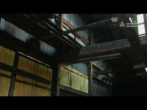 Chrysanthemum charcoal from Satoyama