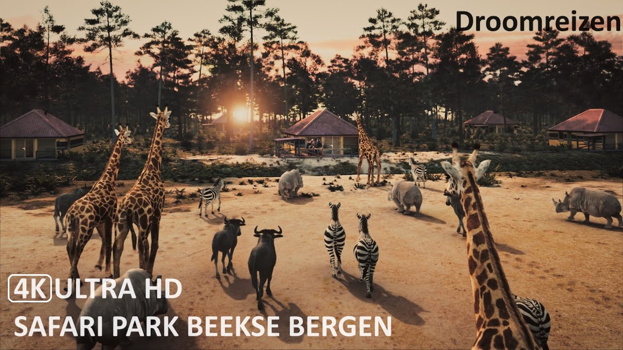 Safarikamp Beekse Bergen  video