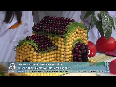 Xaçmazda ilk dəfə “Albalı və gilas” festivalı keçirilib
