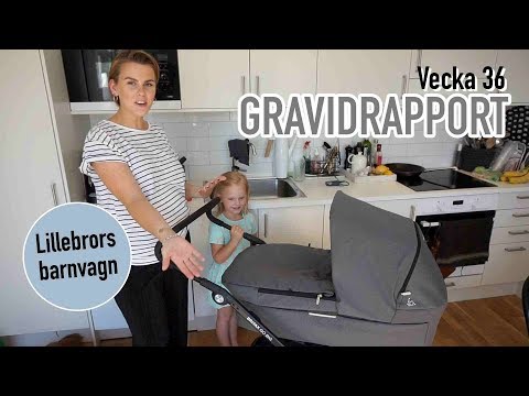 GRAVIDRAPPORT VECKA 36 - Lillebrors barnvagn! Britax Go Big2.