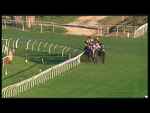 Galoppo 23/11/2020 - 5ª corsa