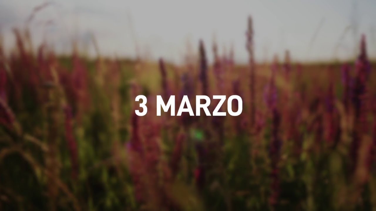 3 Marzo 2025 | Meditazione Parole di Vita