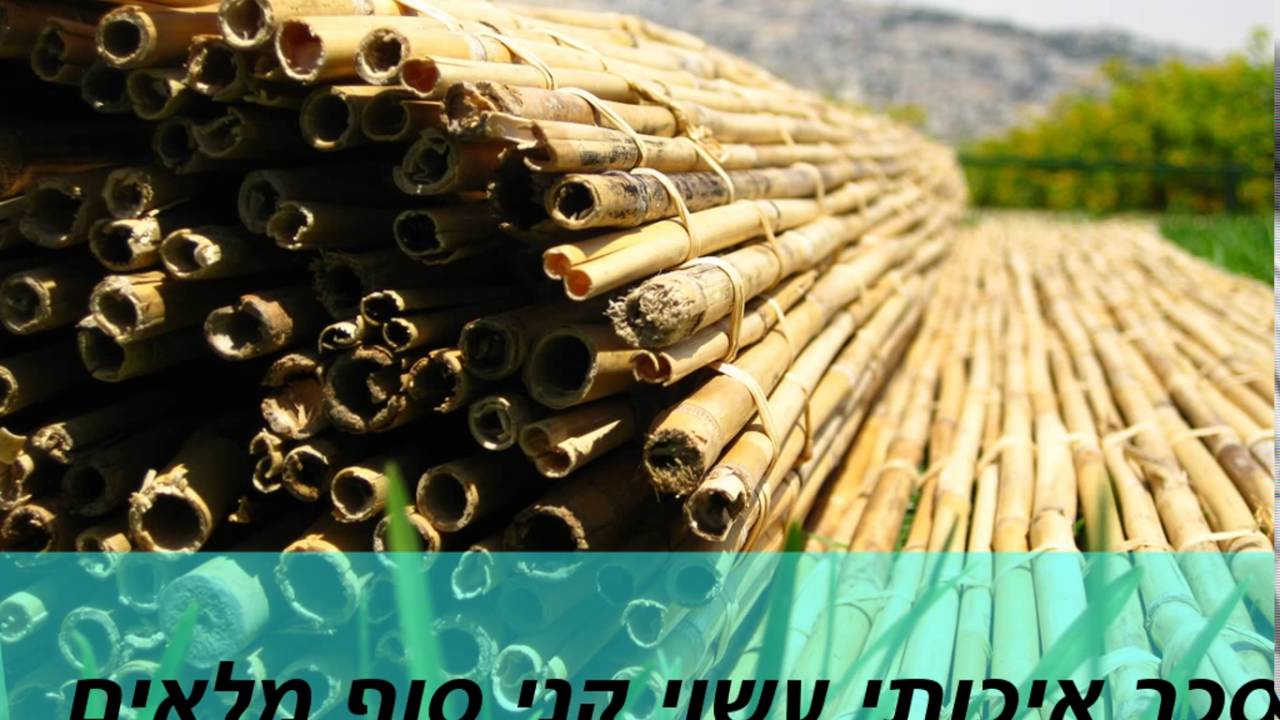 קניית סוכה - 072-2133333