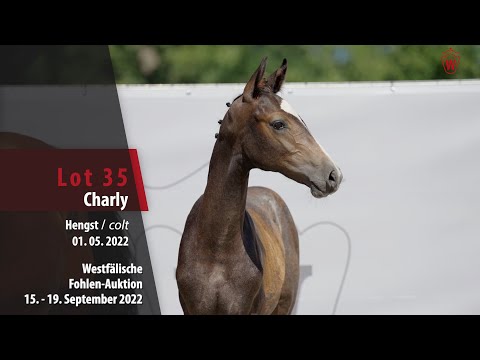 Online-Auktion Lot 35 Charly Hengst v. Charmeur Blanc - Autobahn