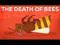 Mehiläisten kuolema selitetty