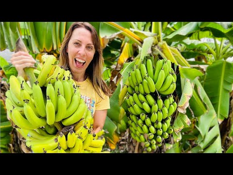 Watch This BEFORE You Grow Bananas 🍌