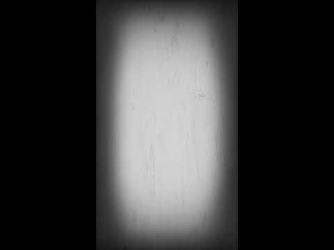 Die Rose|Creepypasta (german/deutsch)