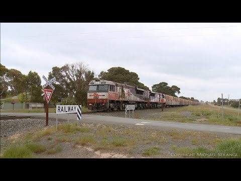 97 Wagons On SCT 1PM9 Including 24 New PQSY's (29/9/2021) - PoathTV Australian Trains & Railways