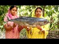 TUNA FISH Curry Recipe Amazing Big Sea Fish Cutting Cooking Masala Curry Recipe Fish Curry