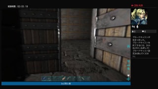 ark