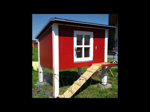 Hühnerstall selber bauen | Schnell und einfach