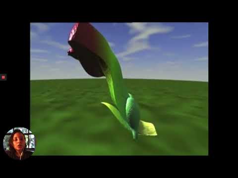 Gimnospermas  Ciclo Reprodutivo