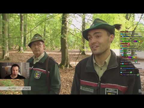 Moondye7 reagiert auf "Auf der Jagd nach dem perfekten Stamm" | MD7 REACT #71