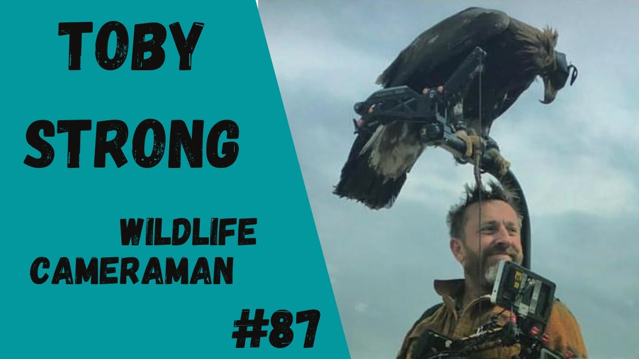 Toby Strong: tapping into the animal’s energy