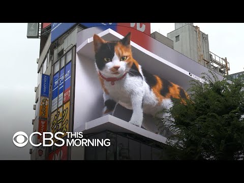 3D digital billboard image of a giant cat draws attention in Tokyo