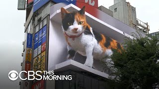 3D digital billboard image of a giant cat draws at