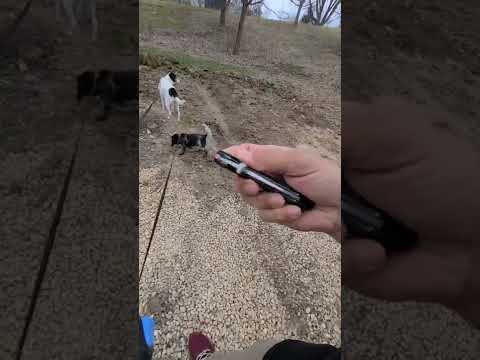 REVIEW, TIPS, CONCEALED CARRY TEST Columbia River Knife Tool's Folts Minimalist Tanto 2386 CRKT