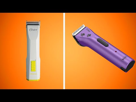 Best Cat Clippers for 2022 [Top 5 Best Cat Clippers Review]